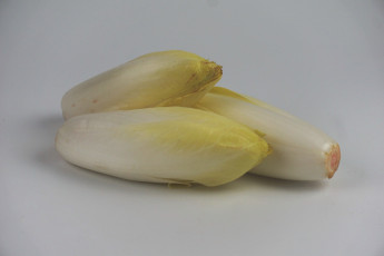 Картинка еда овощи эндивий