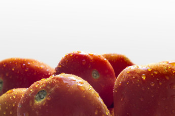 Картинка еда помидоры томаты