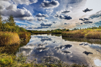 Картинка природа реки озера лес река