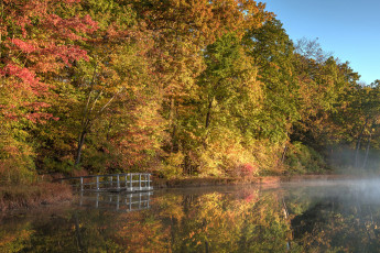 Картинка природа реки озера река лес