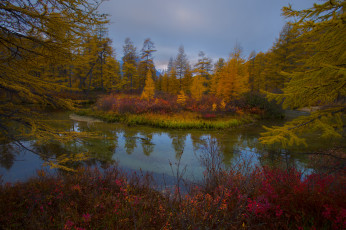 Картинка природа реки озера комментарий без