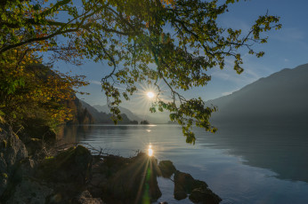 Картинка природа реки озера река лес