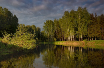 Картинка природа реки озера озеро лес