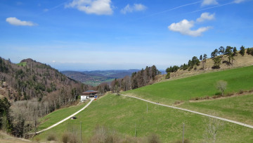 Картинка природа пейзажи дорога лес холмы шотландия