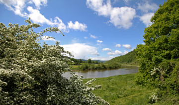 Картинка природа реки озера река лес