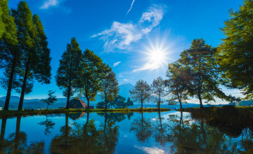 Картинка природа реки озера лес река