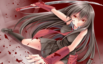 Картинка аниме akame+ga+kill девушка взгляд фон