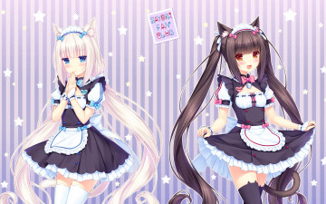 Картинка аниме nekopara фон взгляд девушки