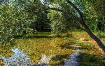 Картинка природа реки озера река лес