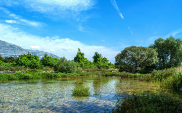 Картинка природа реки озера река лес