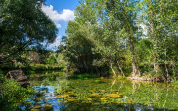 Картинка природа реки озера река лес