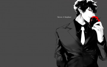 Картинка аниме kekkai+sensen steven a starphase