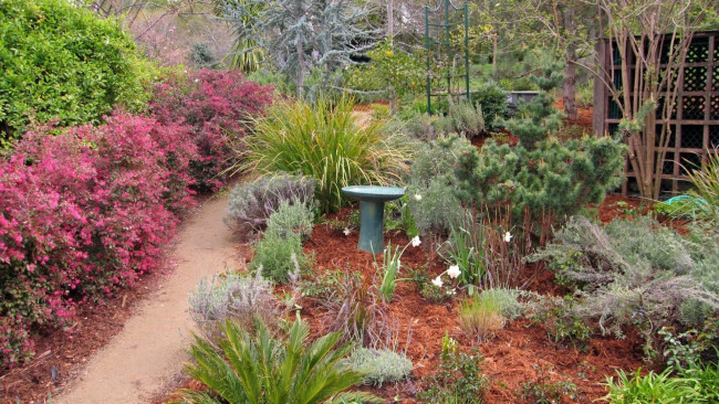 Обои картинки фото природа, парк, дорожка, цветы, кусты