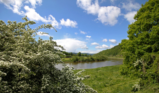 Обои картинки фото природа, реки, озера, река, лес