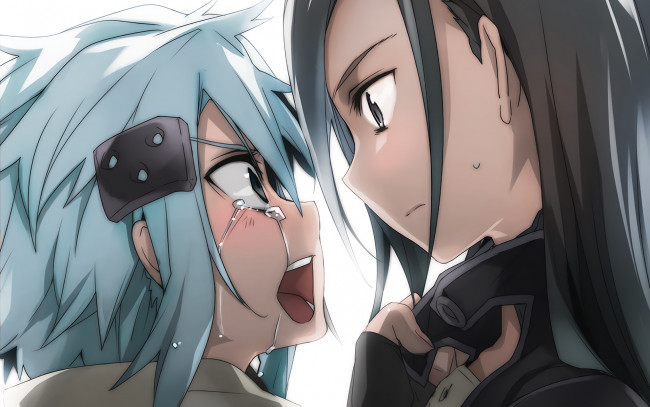 Обои картинки фото аниме, sword art online, девушки, взгляд, фон