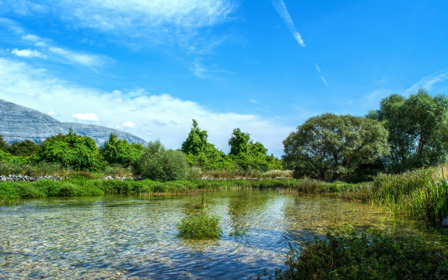 Обои картинки фото природа, реки, озера, река, лес