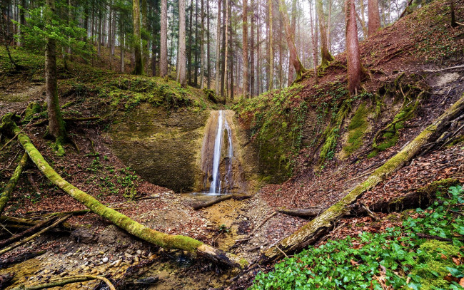 Обои картинки фото природа, водопады, водопад, деревья, лес