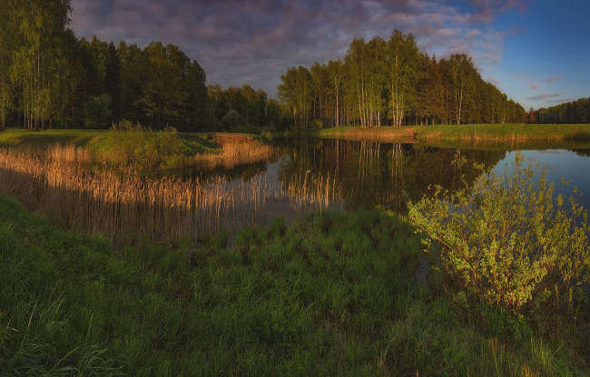 Обои картинки фото природа, реки, озера, лес, озеро