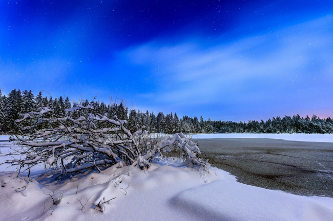 Обои картинки фото природа, зима, пейзаж, деревья, озеро