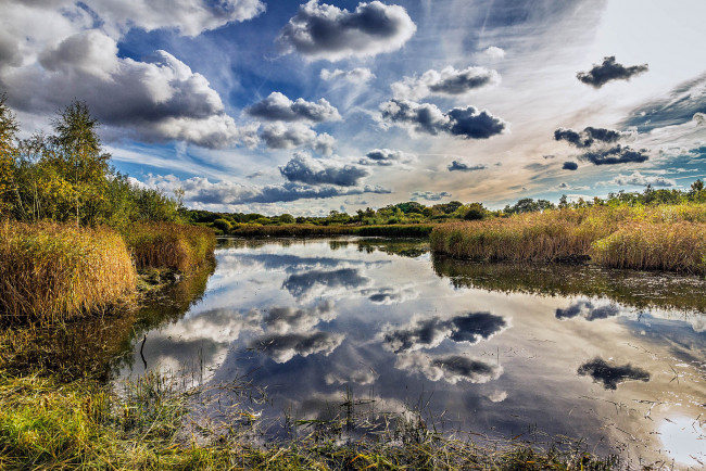 Обои картинки фото природа, реки, озера, лес, река