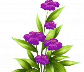 Картинка векторная+графика цветы+ flowers фон цветы лепестки