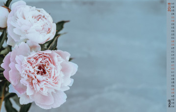 Картинка календари цветы бутон