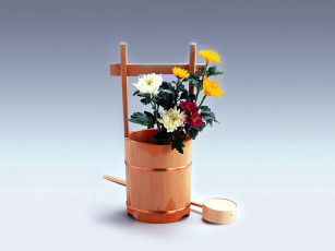 Картинка цветы хризантемы букет