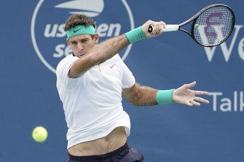 Картинка спорт теннис juan martin del potro