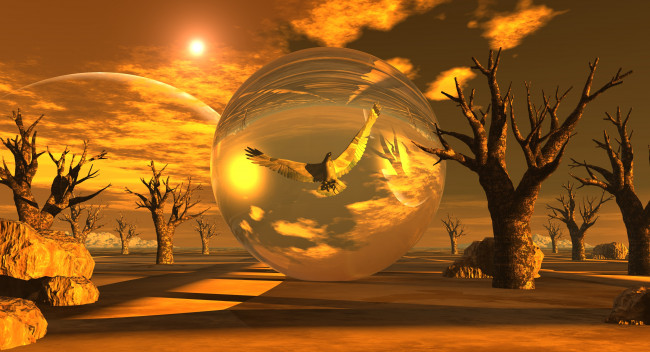 Обои картинки фото 3д графика, животные , animals, голубь