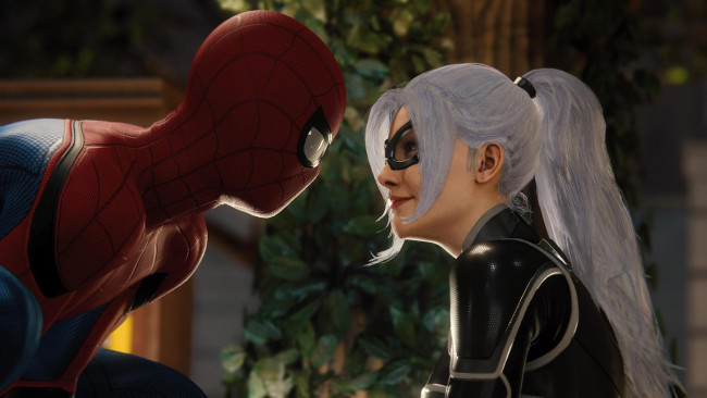 Обои картинки фото видео игры, spider-man, человек-паук, черная, кошка