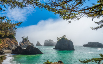 Картинка secret+beach oregon usa природа побережье secret beach