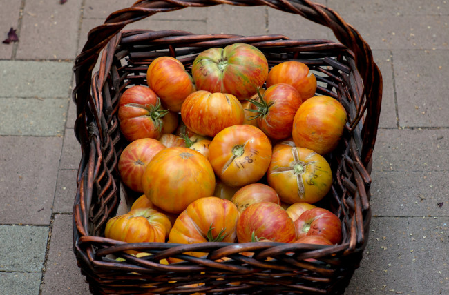 Обои картинки фото еда, помидоры, корзина, томаты
