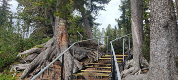 Картинка природа парк прирoдный eргаки краснoярский край