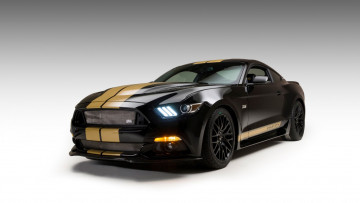 Картинка автомобили mustang форд мустанг черный полосы