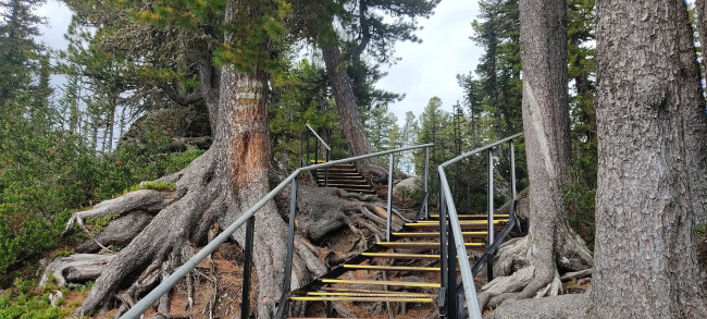 Обои картинки фото природа, парк, прирoдный, eргаки, краснoярский, край