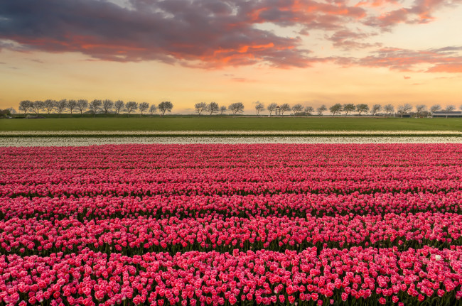 Обои картинки фото разное, компьютерный дизайн, поле