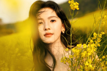 обоя девушки, zhang ruo nan, лицо, шатенка, поле, цветы