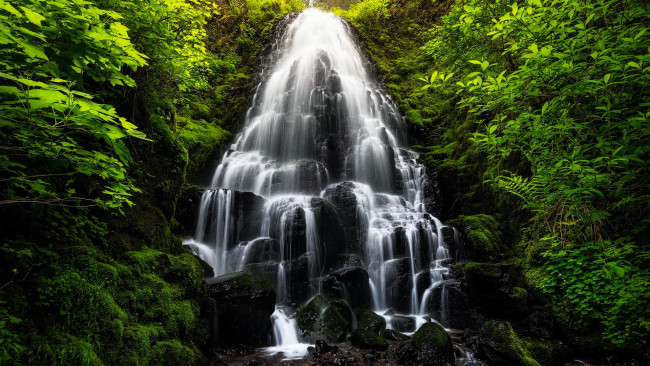 Обои картинки фото fairy falls, columbia river gorge, oregon, природа, водопады, fairy, falls, columbia, river, gorge