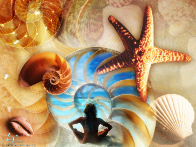 Обои картинки фото разное, компьютерный, дизайн