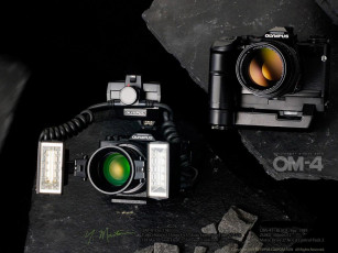 Картинка бренды olympus