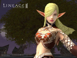 Картинка видео игры lineage ii the chaotic chronicle