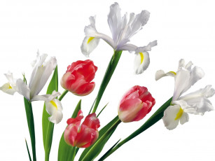 Картинка цветы букеты композиции