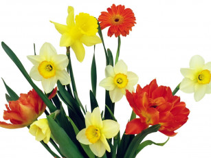 Картинка цветы букеты композиции