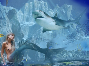 обоя русалка, фэнтези, существа