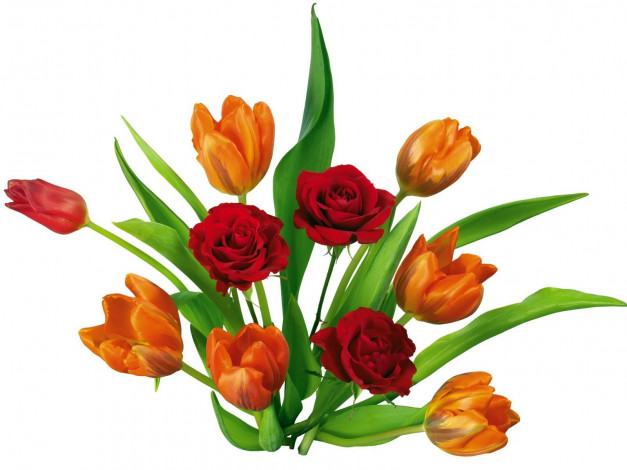 Обои картинки фото цветы, букеты, композиции