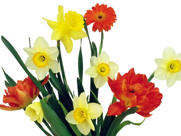 Обои картинки фото цветы, букеты, композиции