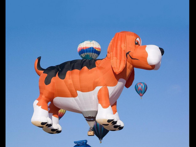 Обои картинки фото авиация, воздушные, шары