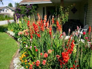 Картинка цветы разные вместе