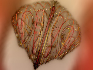 Картинка 3д графика fractal фракталы цвета узор фрактал