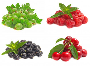 Картинка еда фрукты ягоды коллаж